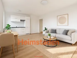 Pronájem bytu 1+kk, Havířov - Šumbark, U Nádraží, 29 m2
