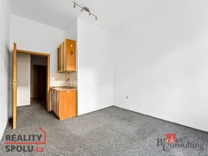 Prodej bytu 2+1, Praha - Žižkov, Hartigova, 55 m2