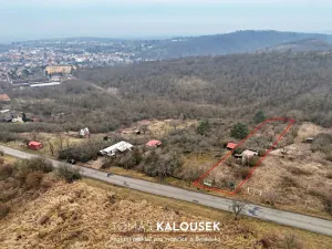 Prodej zahrady, Dolní Kounice, 1166 m2