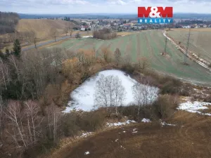 Prodej rybníku, Pelhřimov - Starý Pelhřimov, 2951 m2