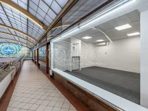 Pronájem obchodního prostoru, Praha - Nové Město, Vodičkova, 24 m2