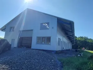 Pronájem výrobních prostor, Valašské Meziříčí - Bynina, 820 m2