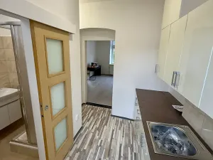 Pronájem bytu 1+kk, Brno, Dukelská třída, 28 m2