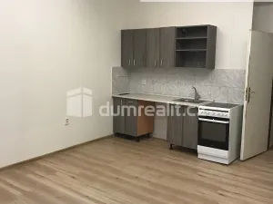 Pronájem bytu 1+kk, Praha - Karlín, Šaldova, 25 m2