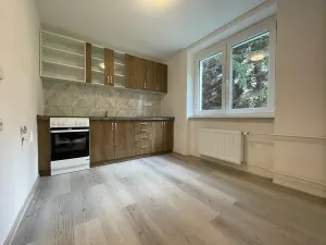 Pronájem bytu 1+1, Litvínov, Horská, 42 m2