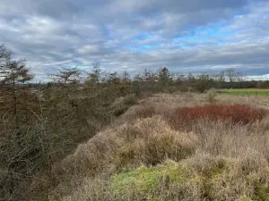 Prodej zahrady, Nové Strašecí, Sukova, 934 m2