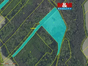 Prodej lesa, Svatý Mikuláš, 20624 m2