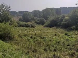 Prodej pole, Úterý, 34244 m2