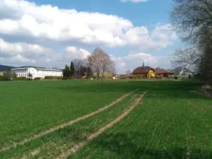 Prodej pozemku pro bydlení, Libuň, 4494 m2