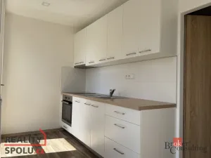 Pronájem bytu 1+1, Opava - Předměstí, Polní, 35 m2