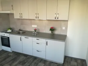 Pronájem bytu 2+1, Ostrava - Moravská Ostrava, Gen. Píky, 58 m2