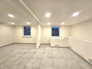 Pronájem kanceláře, Praha, U dělnického cvičiště, 46 m2