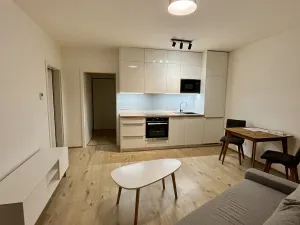 Pronájem bytu 2+kk, Olomouc, Eduarda Hamburgera, 45 m2