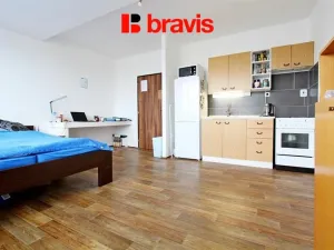 Pronájem bytu 1+kk, Brno, Oblá, 33 m2