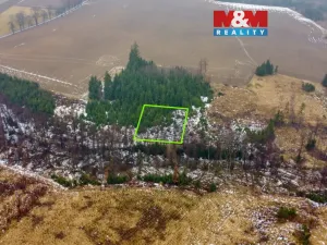 Prodej lesa, Česká Bělá, 1126 m2