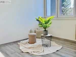 Pronájem bytu 1+kk, Frýdek-Místek, Habrová, 24 m2