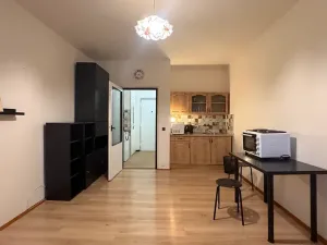 Pronájem bytu 1+kk, Brno, Halasovo náměstí, 26 m2
