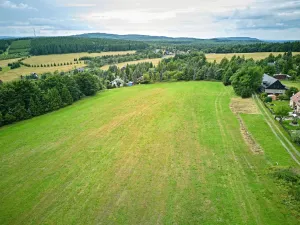 Prodej louky, Osek, 1013 m2