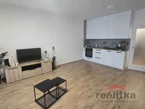 Pronájem bytu 1+kk, Opava, 42 m2