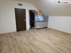 Pronájem bytu 1+kk, Nový Jičín, B. Martinů, 28 m2