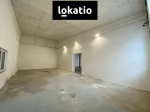 Pronájem skladu, Olomouc, 100 m2