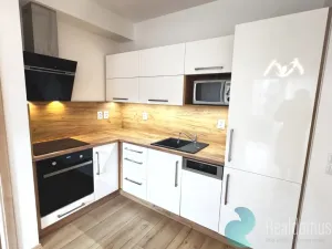 Pronájem bytu 2+kk, České Budějovice, Na Zlaté stoce, 55 m2