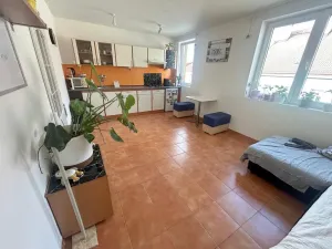 Pronájem bytu 1+kk, Praha - Strašnice, Věšínova, 32 m2