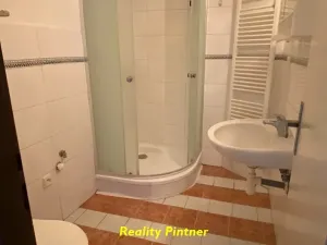 Prodej bytu 1+1, Březnice, V koleji, 40 m2