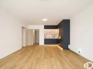 Pronájem bytu 2+kk, Brandýs nad Labem-Stará Boleslav - Brandýs nad Labem, Dřevčická, 65 m2