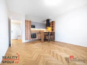 Pronájem bytu 2+kk, Brno - Staré Brno, Nové sady, 59 m2