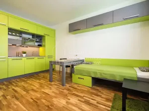 Pronájem pokoje, Praha - Kobylisy, Střelničná, 22 m2