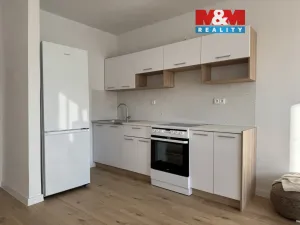 Pronájem bytu 1+kk, Ostrava - Výškovice, Lumírova, 27 m2