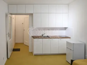 Pronájem bytu 1+kk, Praha - Nusle, Petra Rezka, 22 m2