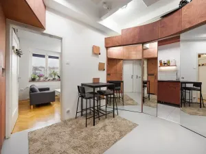 Prodej bytu 1+1, Praha - Žižkov, Baranova, 49 m2