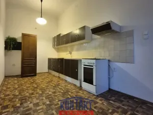 Pronájem bytu 1+1, České Budějovice, Fráni Šrámka, 50 m2