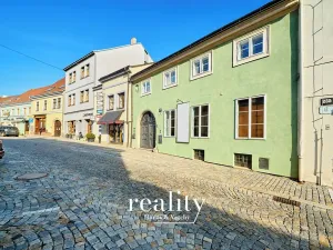 Pronájem obchodního prostoru, Znojmo, Horní Česká, 168 m2