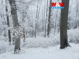 Prodej lesa, Řepníky, 562 m2