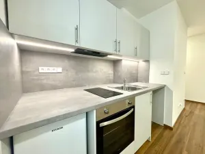 Prodej bytu 1+kk, Lovosice, Sady pionýrů, 22 m2