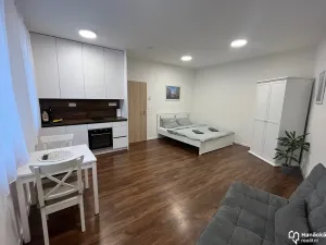 Pronájem bytu 1+kk, Olomouc, Andělská, 40 m2