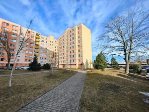 Prodej bytu 4+1, České Budějovice, Netolická, 85 m2