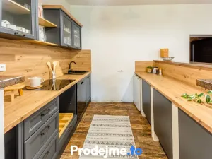 Prodej - jiné, Dyjákovice, 182 m2