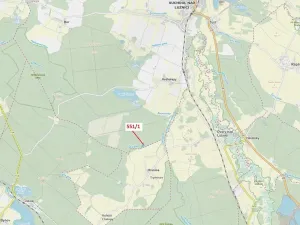 Dražba lesa, Suchdol nad Lužnicí, 9131 m2