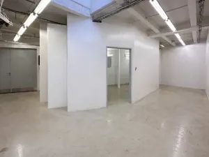 Pronájem skladu, Praha - Nusle, Mojmírova, 165 m2