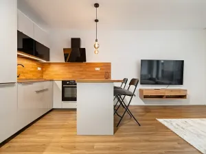 Pronájem bytu 2+kk, Plzeň, Pallova, 49 m2