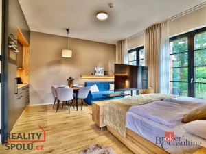 Prodej bytu 1+kk, Černý Důl, 39 m2