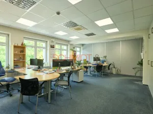 Pronájem kanceláře, Hustopeče, Herbenova, 38 m2