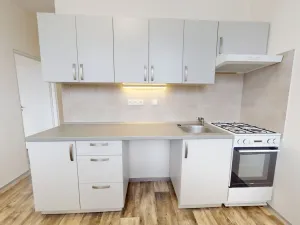 Pronájem bytu 2+1, Ostrava - Hrabůvka, Dr. Martínka, 52 m2