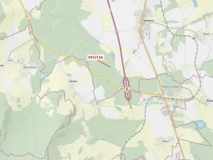 Dražba lesa, Netřebice, 295 m2