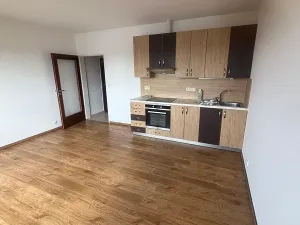 Pronájem bytu 1+kk, Prostějov, Netušilova, 34 m2