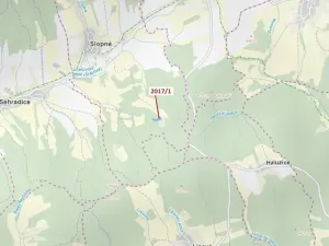 Dražba louky, Slopné, 7426 m2